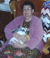 rabbit on lap